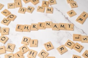 Ehrenamt web